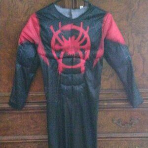 Spiderman Halloween Costume